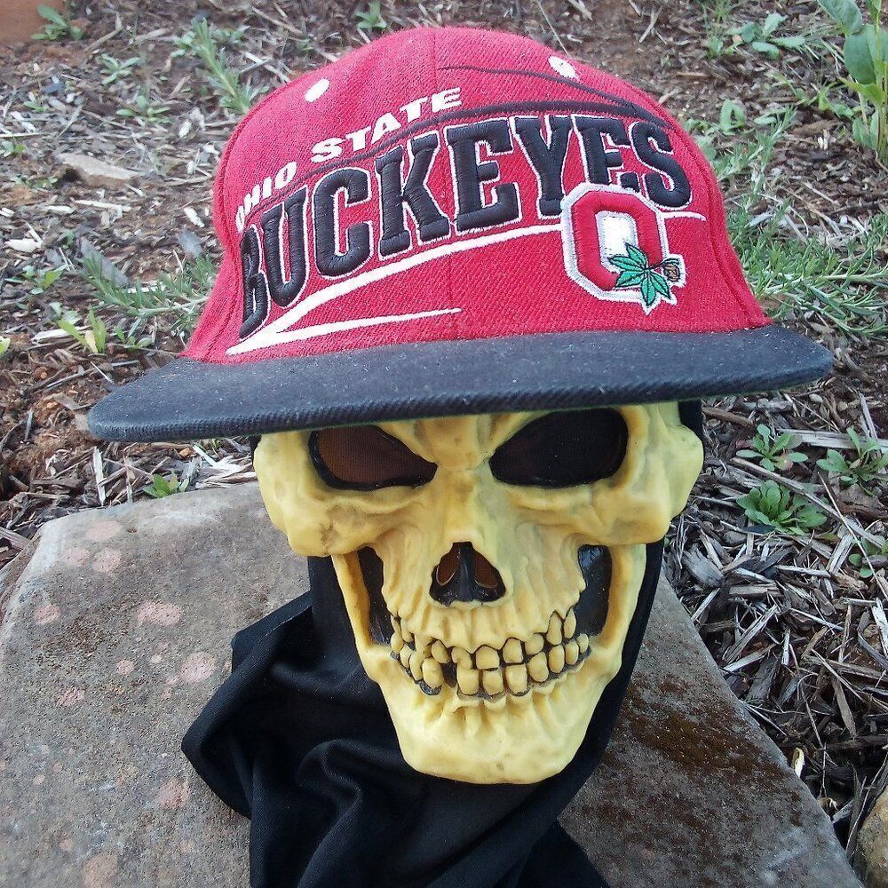 Vintage Y2K Zephyr Ohio State Buckeyes Snap Back Hat Cap